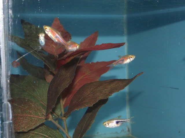 DSCF2423.jpg