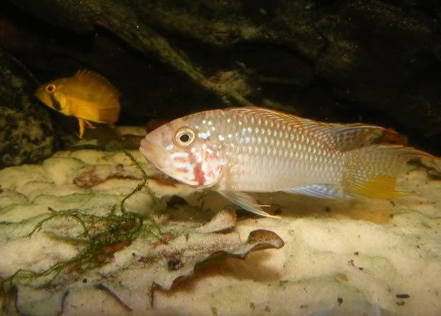 DSCF2567.jpg