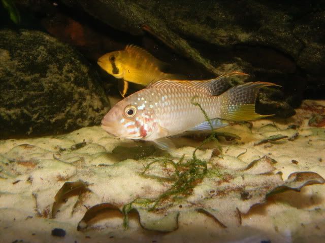 DSCF2568.jpg