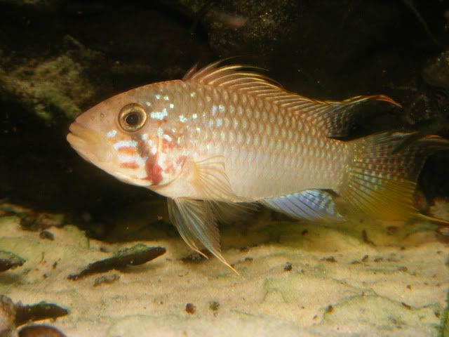 DSCF2573.jpg