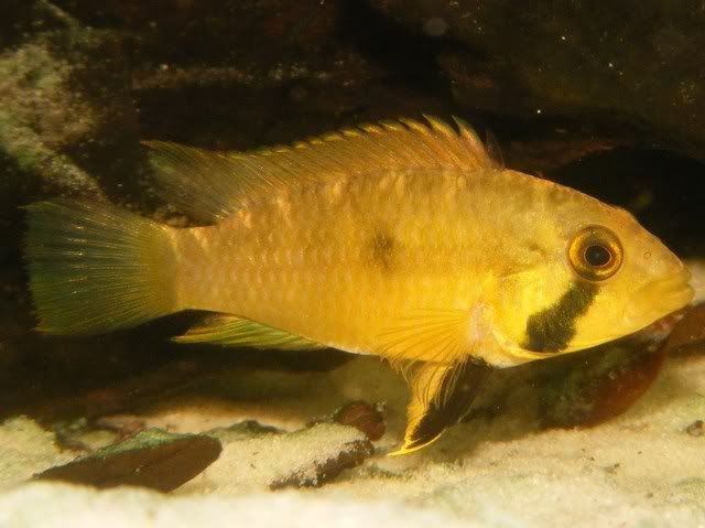DSCF2581.jpg
