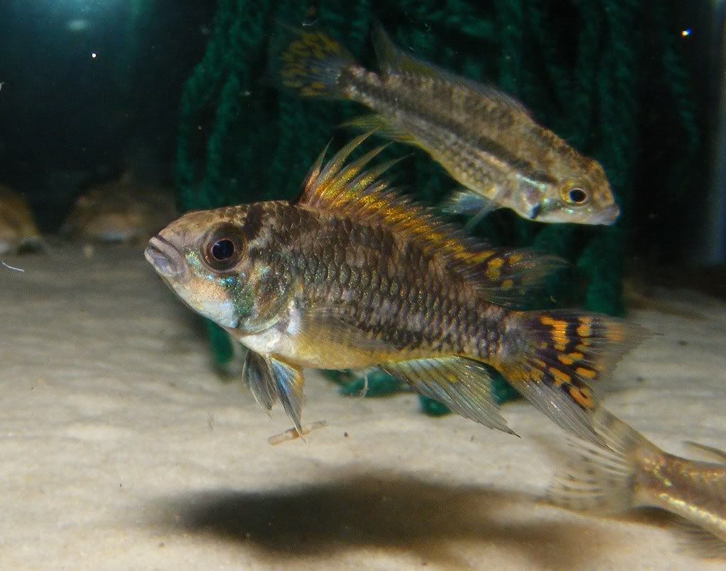 DSCF3046.jpg