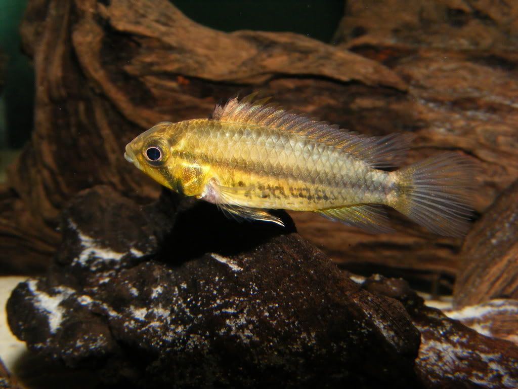 DSCF3403.jpg