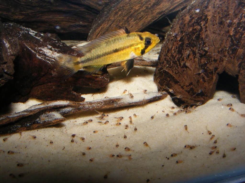 DSCF3462.jpg