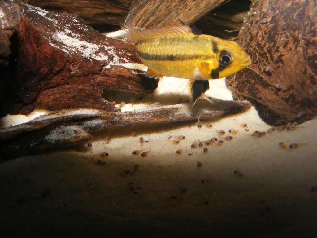 DSCF3464.jpg
