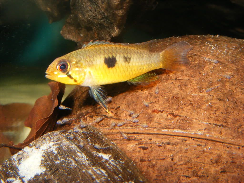 DSCF3670.jpg