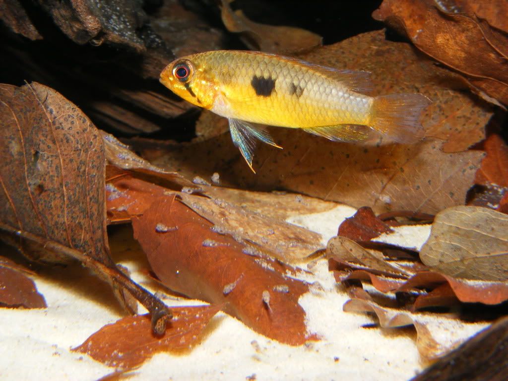 DSCF3744.jpg
