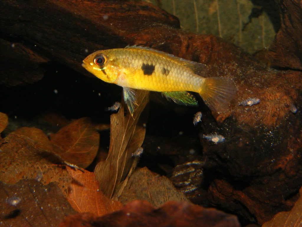 DSCF4253.jpg