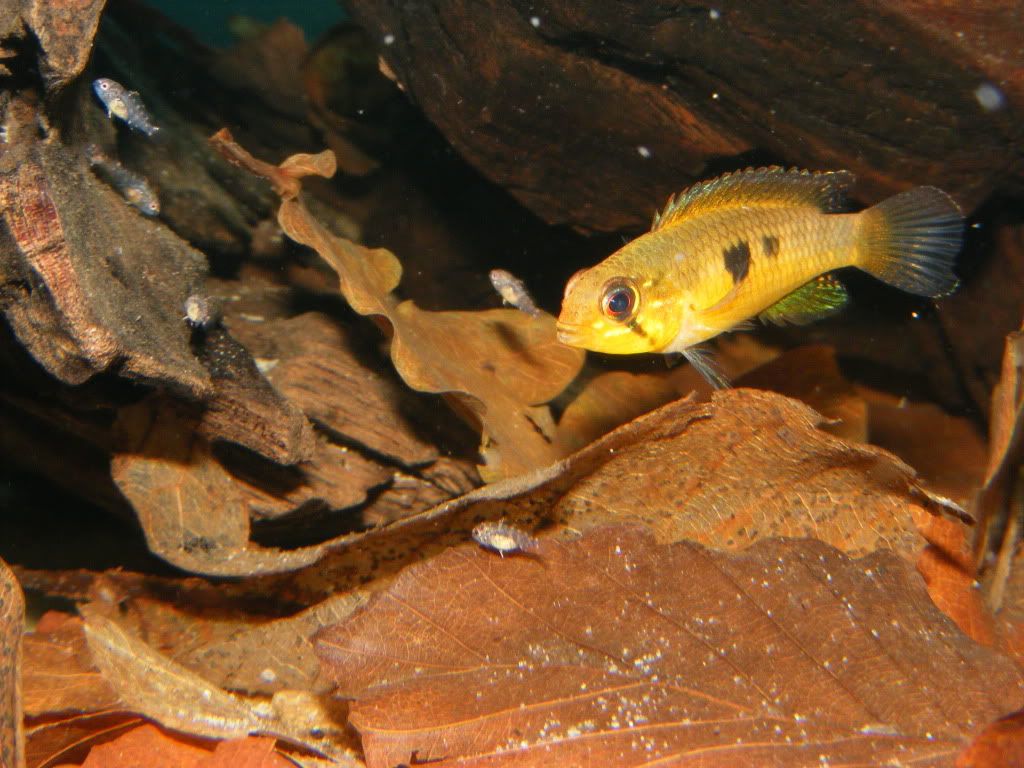 DSCF4260.jpg