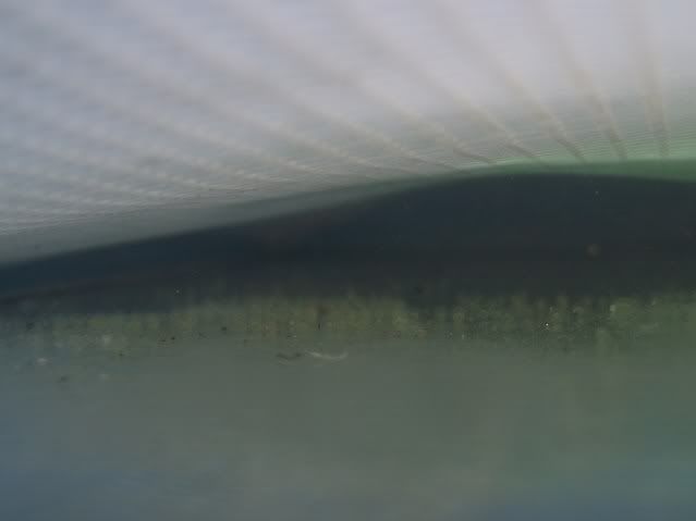 DSCF4308-1.jpg