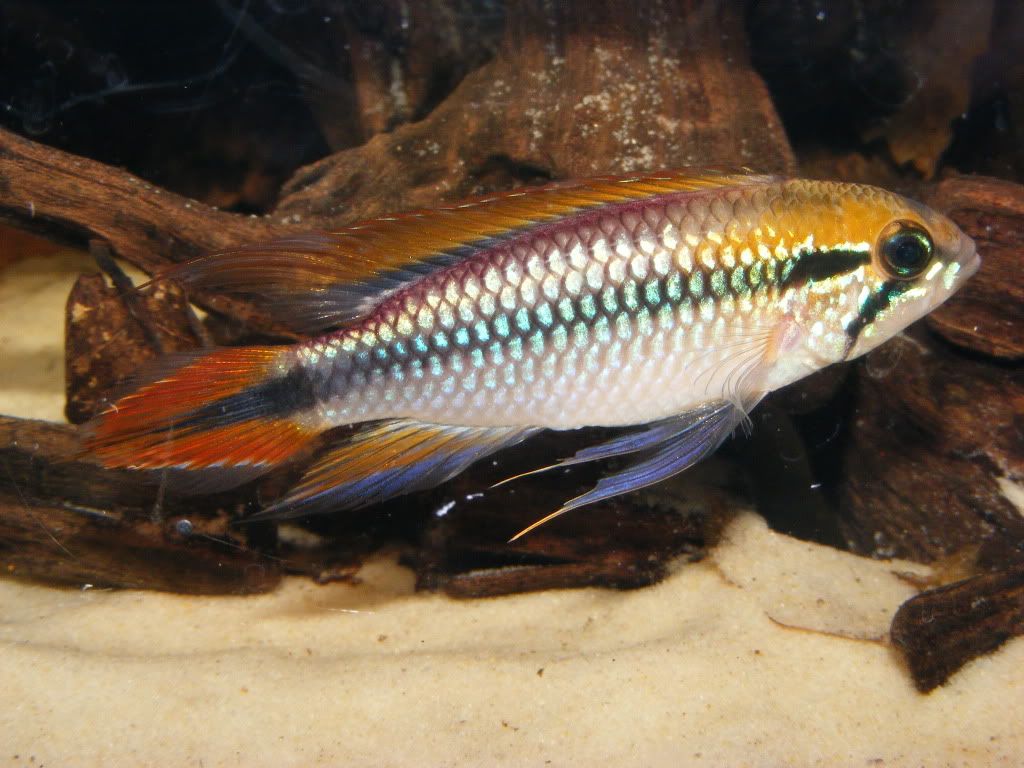 DSCF4865.jpg
