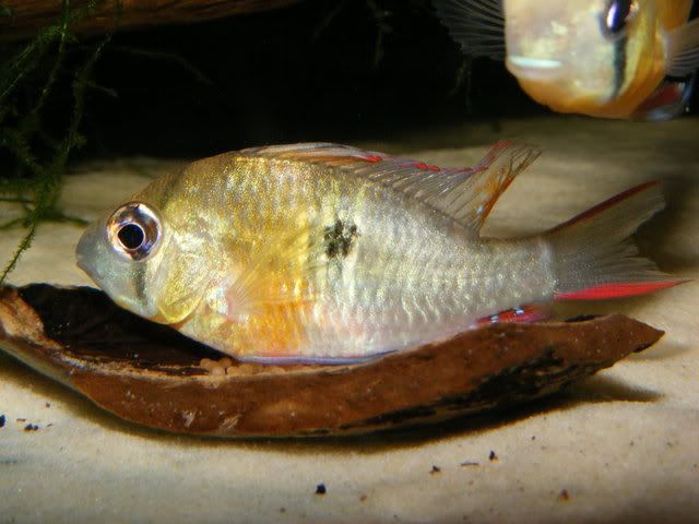 DSCF5006.jpg