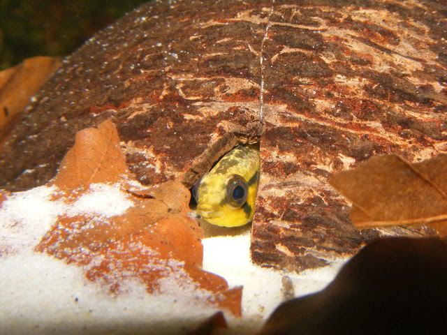 DSCF5072.jpg