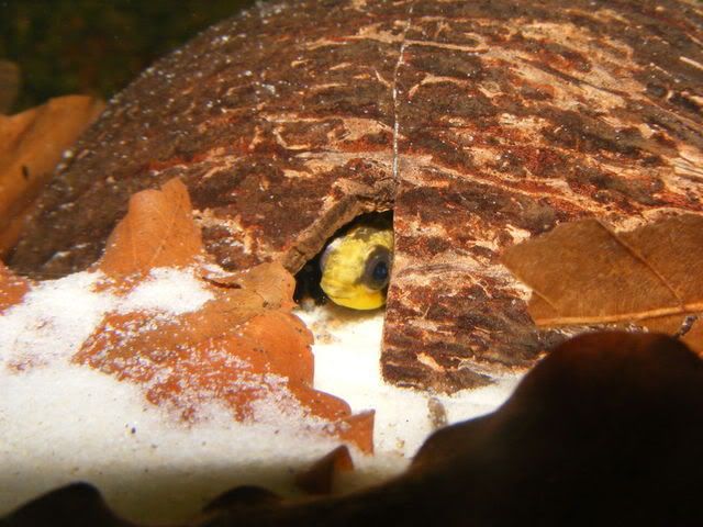 DSCF5076.jpg