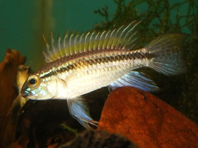 DSCF5101.jpg