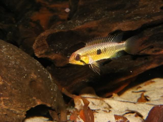 DSCF5103.jpg