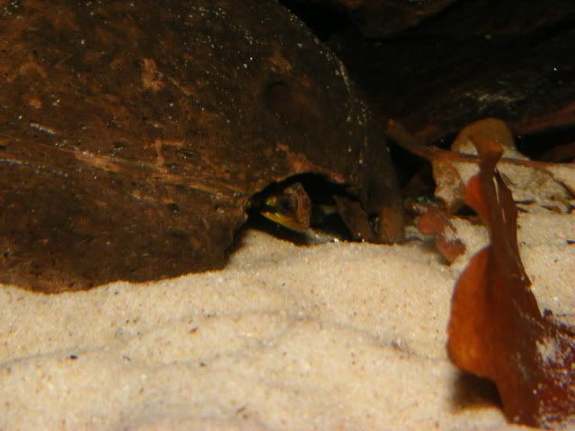 DSCF5109-1.jpg