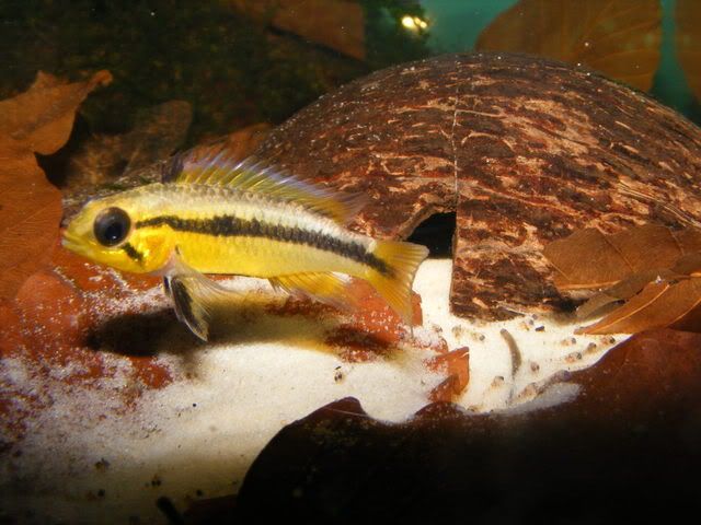 DSCF5170.jpg