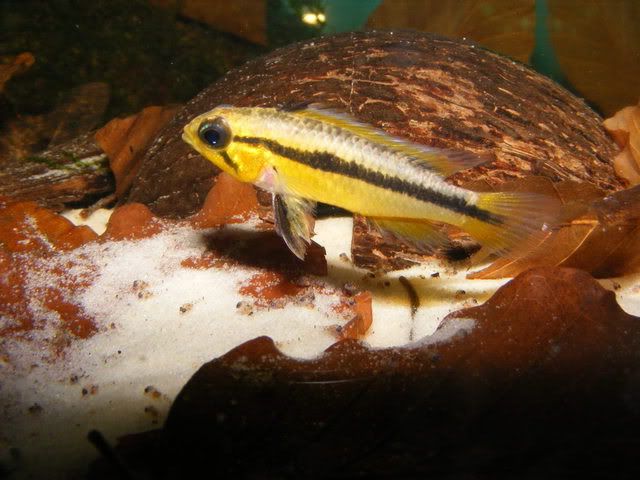 DSCF5179.jpg