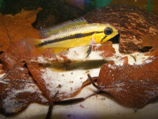 DSCF5183.jpg