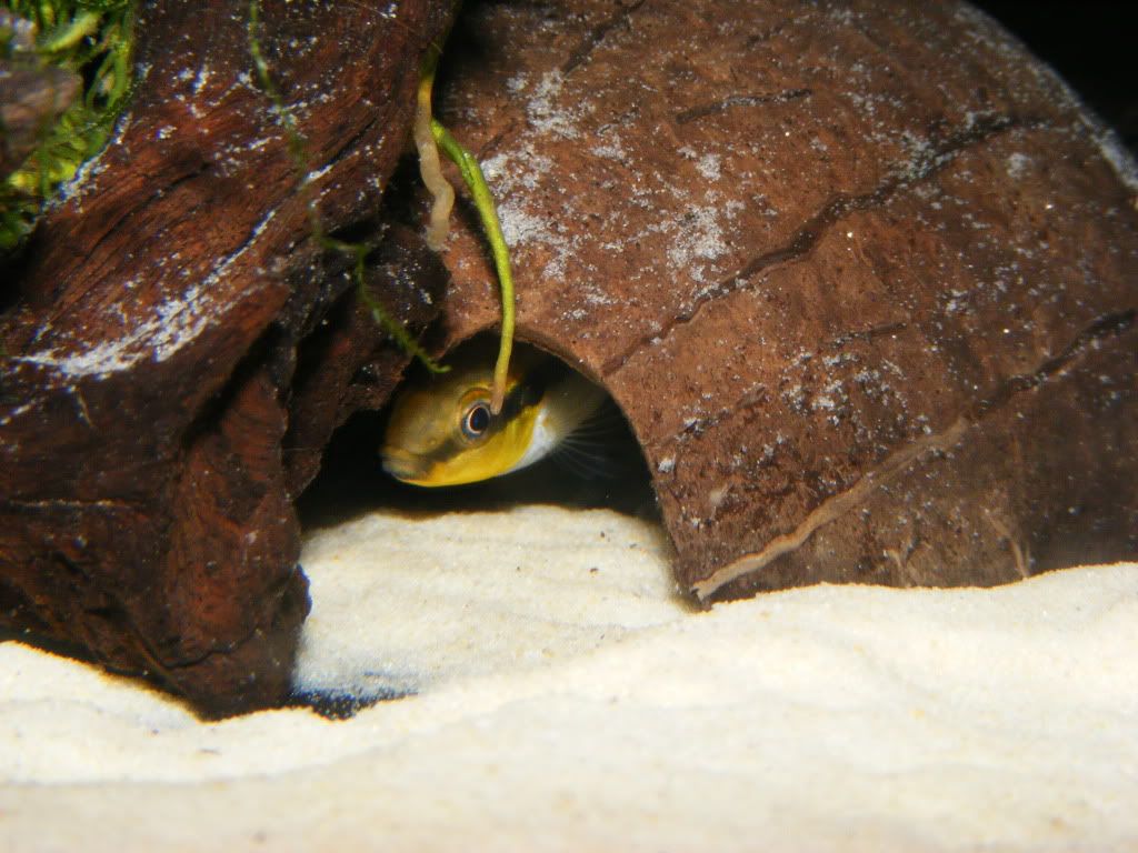 DSCF5337.jpg