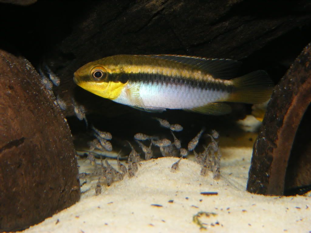 DSCF5381.jpg