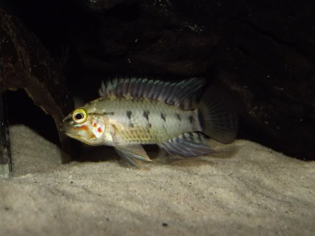 DSCF5394.jpg