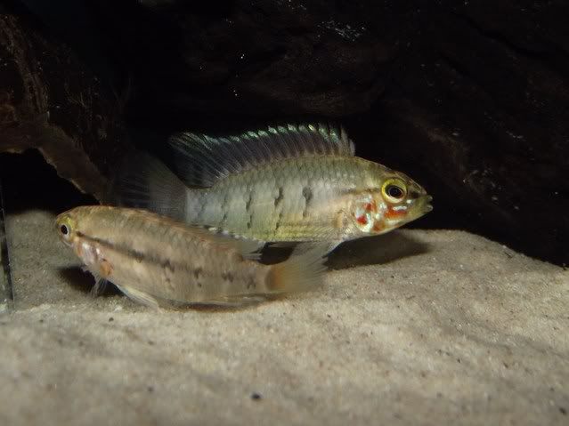 DSCF5396.jpg
