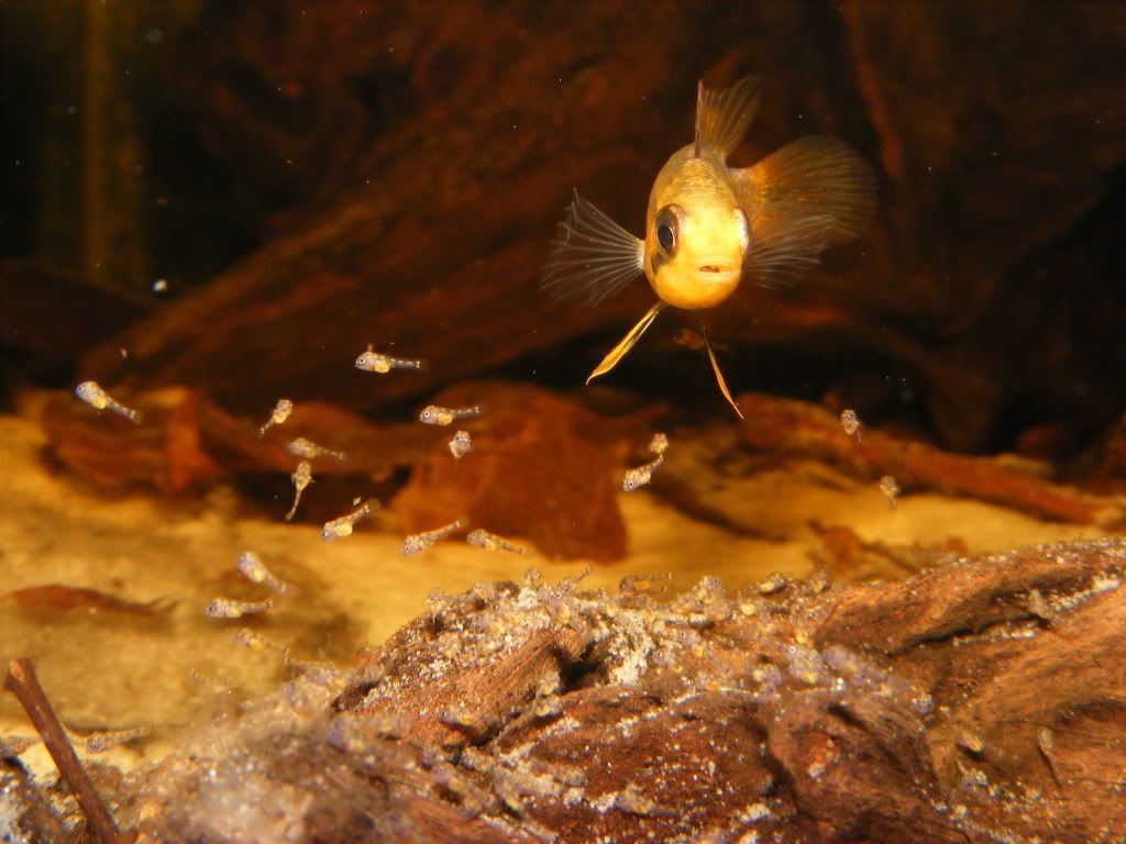 DSCF5440.jpg