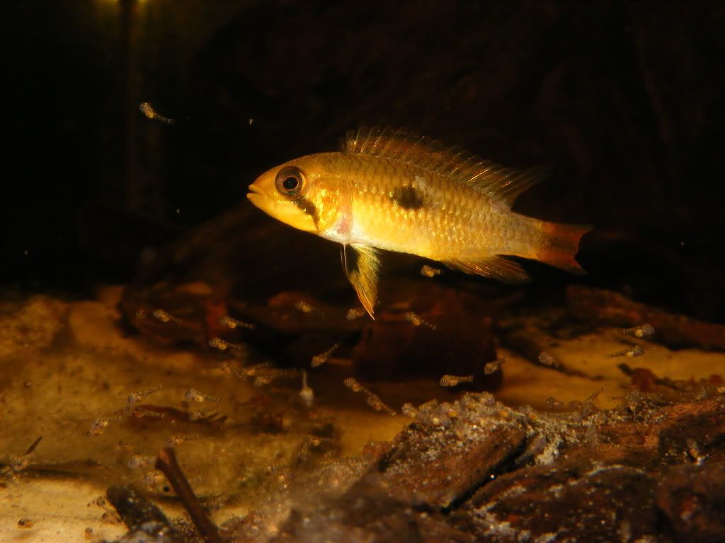 DSCF5443.jpg