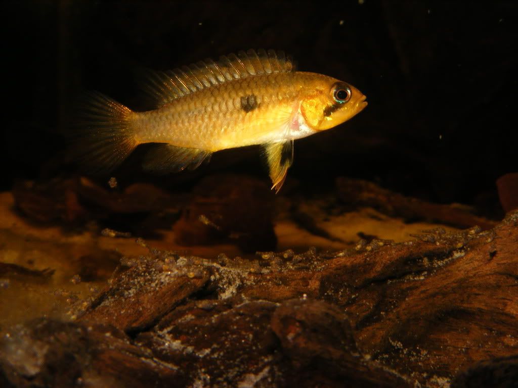 DSCF5447.jpg