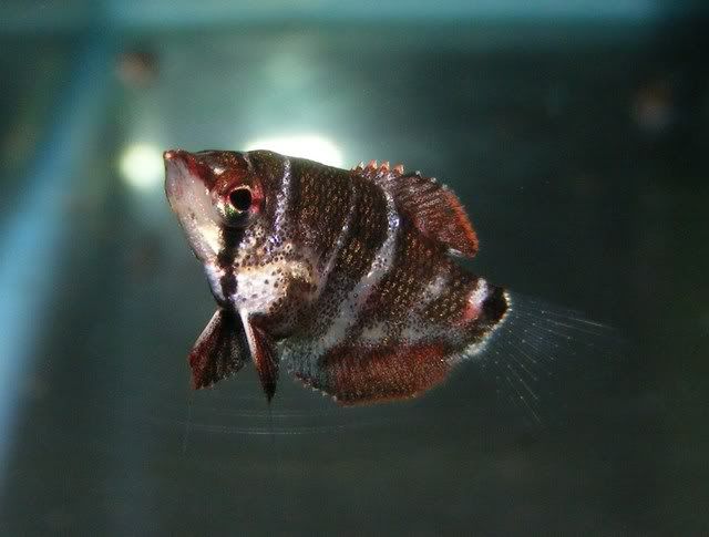 DSCF5523.jpg