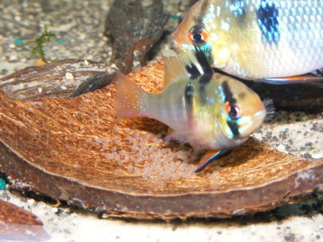 DSCF5631.jpg