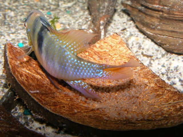 DSCF5640.jpg
