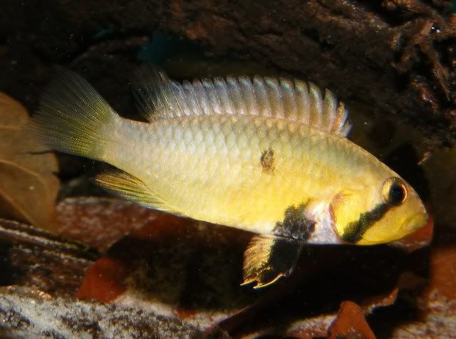 DSCF5754.jpg