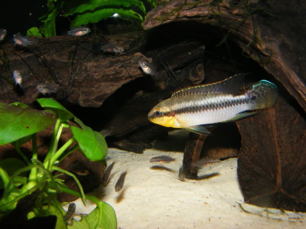 DSCF5953-1.jpg