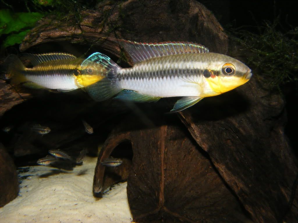 DSCF5965.jpg