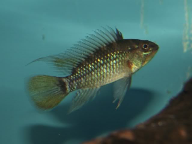 DSCF6023.jpg