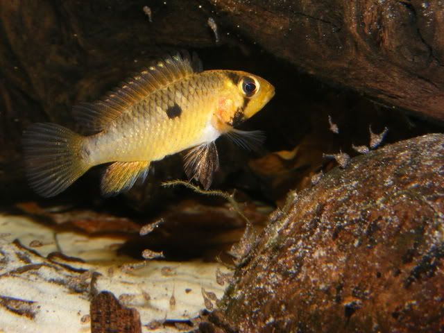 DSCF6664.jpg