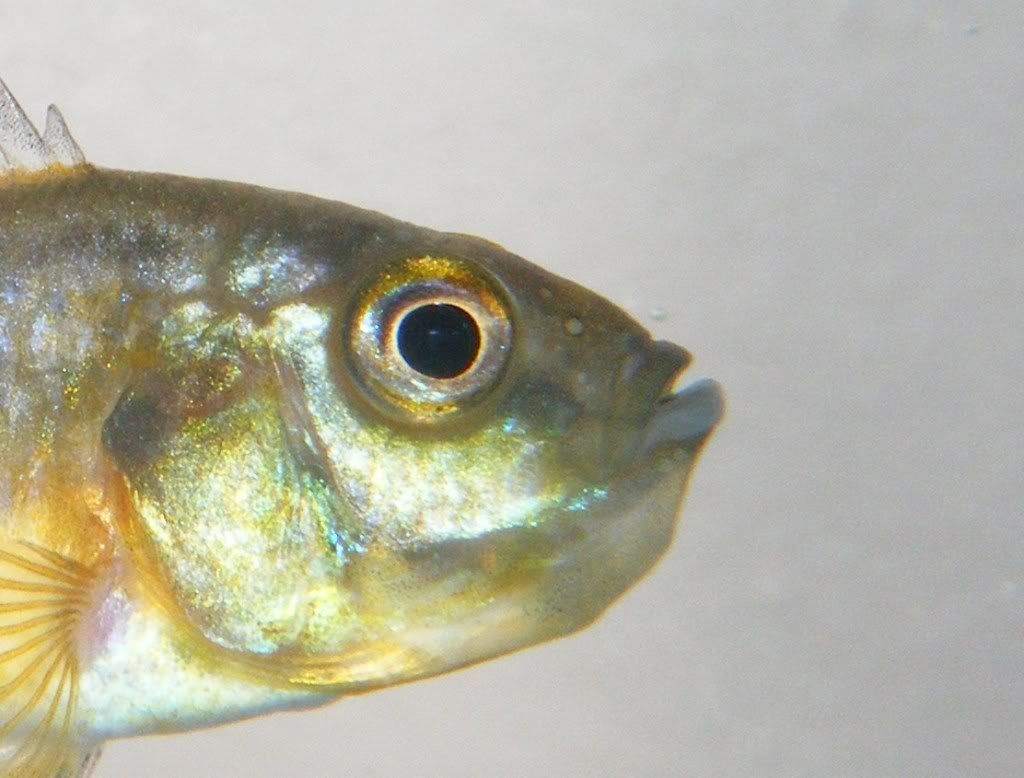 DSCF6827.jpg