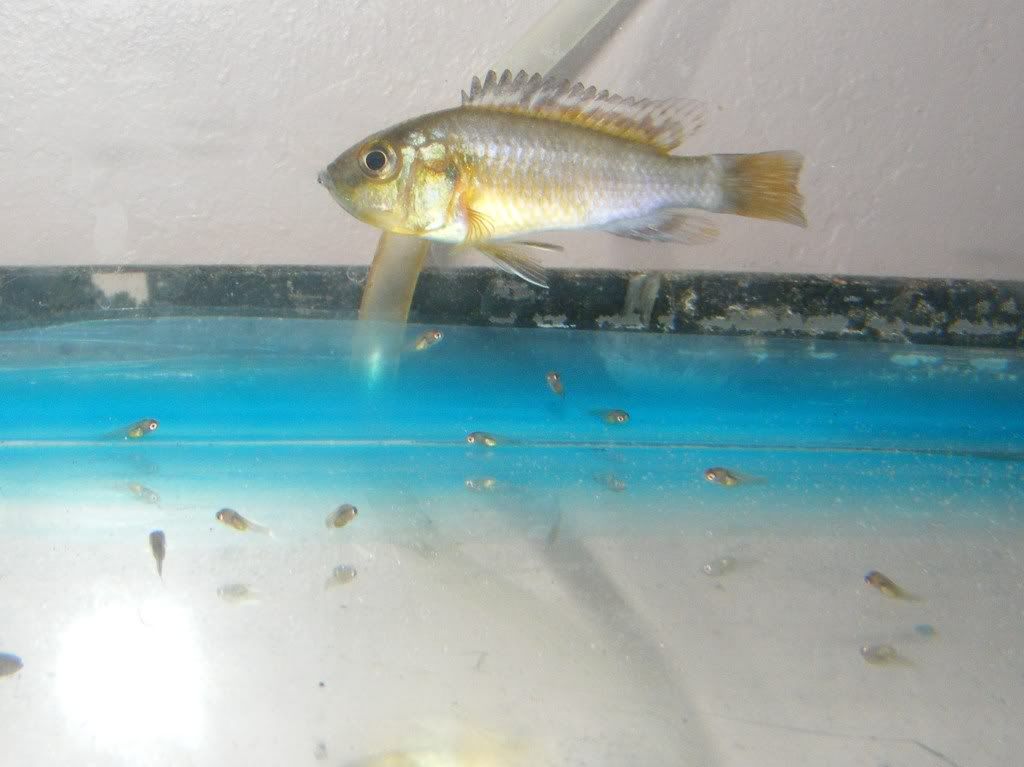 DSCF6831.jpg