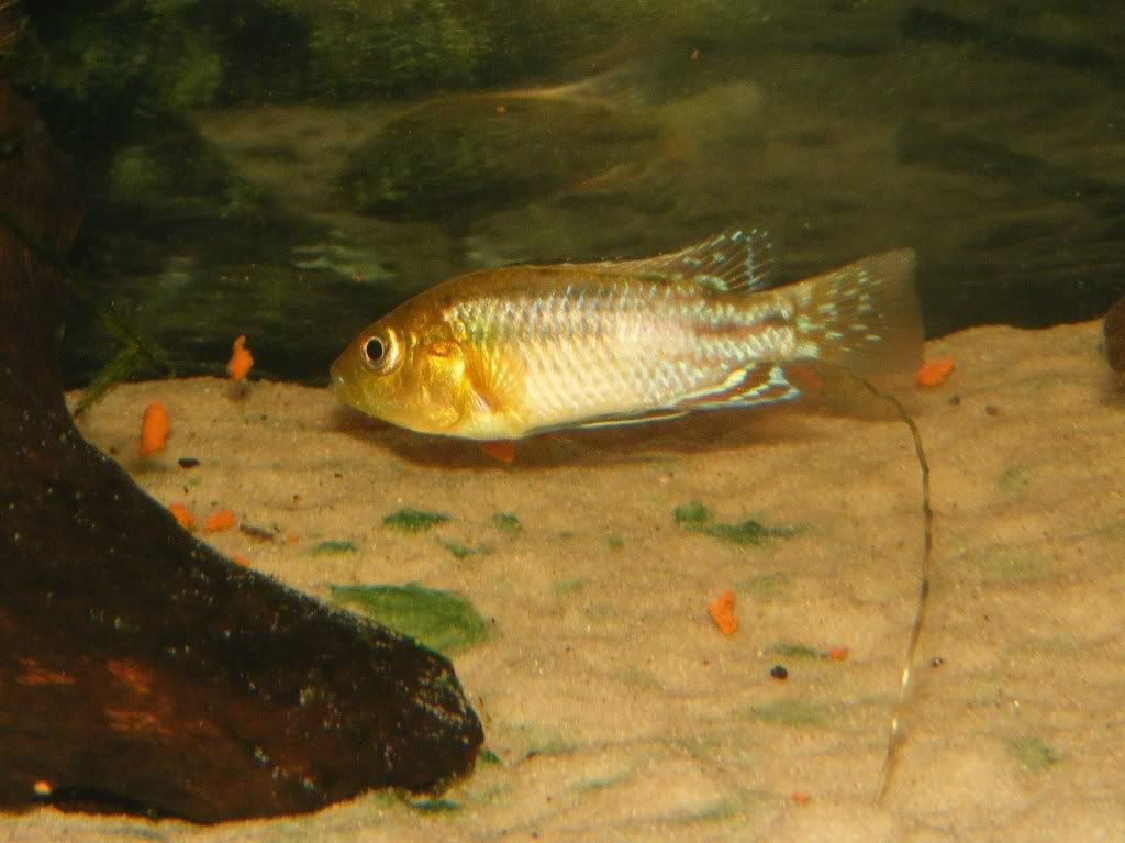 DSCF6864.jpg