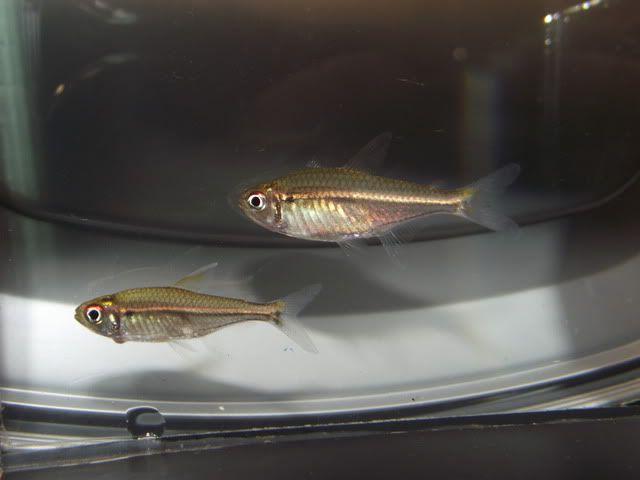 DSCF6958.jpg