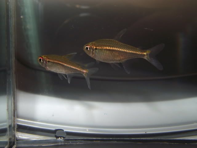 DSCF6961.jpg