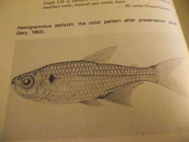 DSCF7318.jpg