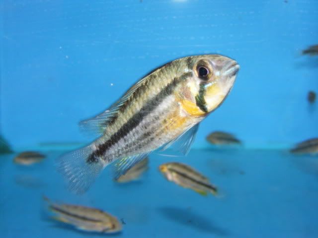 DSCF7420.jpg