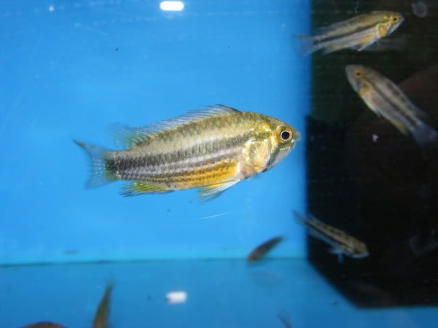 DSCF7431.jpg