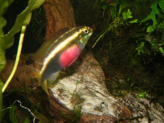 DSCF7959.jpg