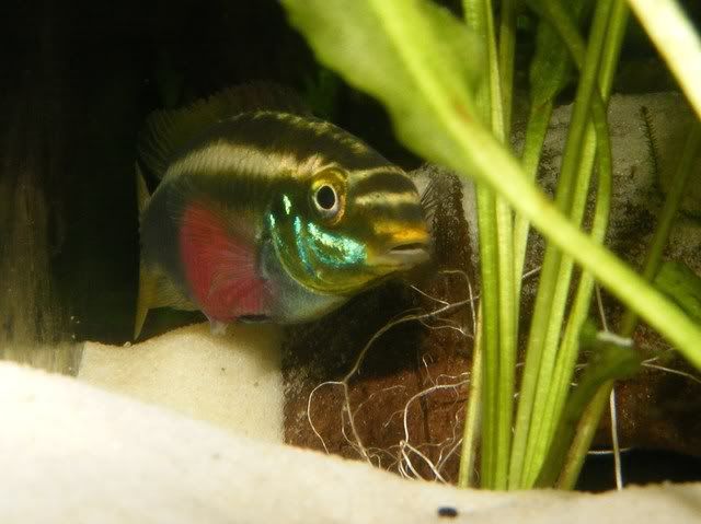 DSCF7966.jpg