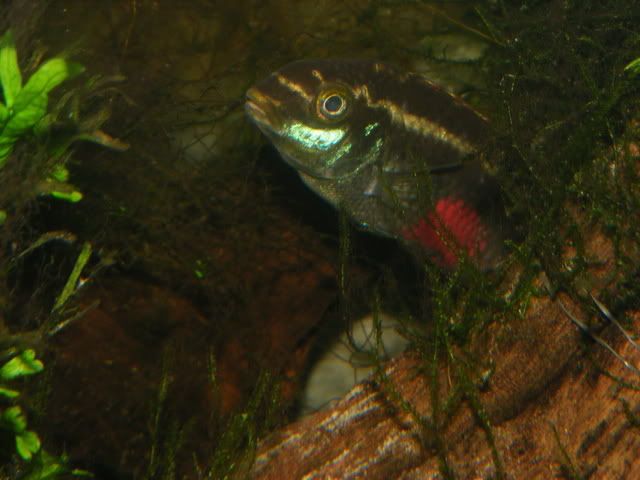 DSCF7969.jpg